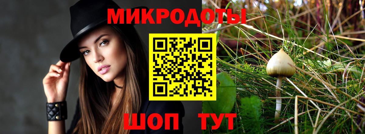 Галлюциногенные грибы Psilocybe Новокуйбышевск