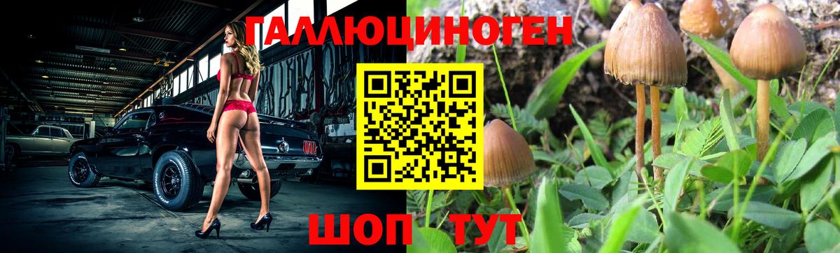 Галлюциногенные грибы MAGIC MUSHROOMS  Вход с VPN  Новокуйбышевск  Галлюциногенные грибы мицелий 